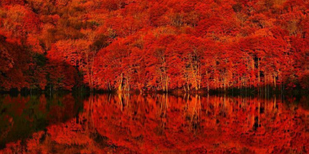 TSUTANUMA LAKE (AOMORI)