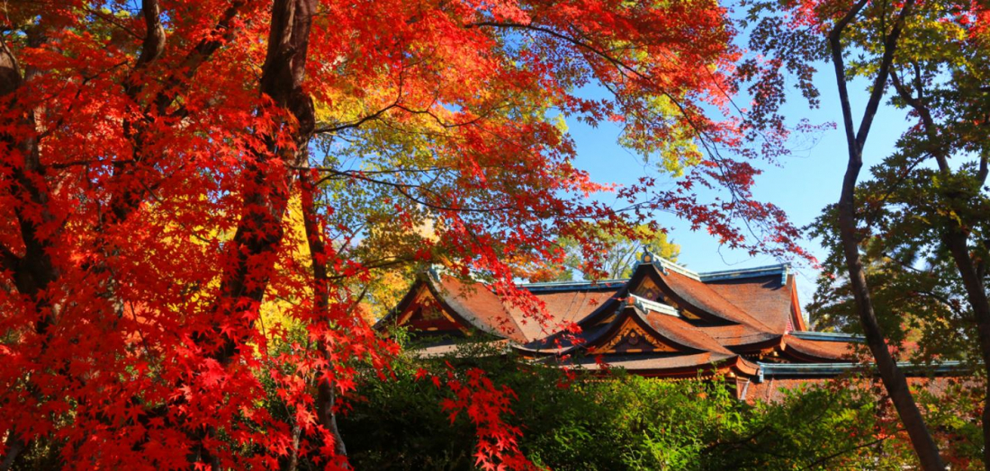 KITANO TENMANGU SHRINE (KYOTO)