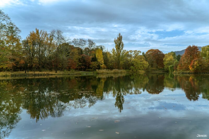 붉고 노란 단풍잎이 절정을 이룬 삿포로 나카지마 공원