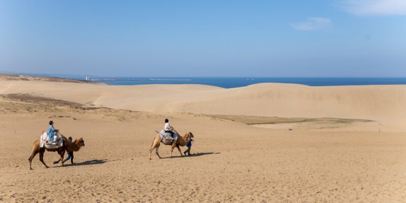 돗토리 사구(鳥取砂丘) 전경 – 일본 최대의 모래언덕
