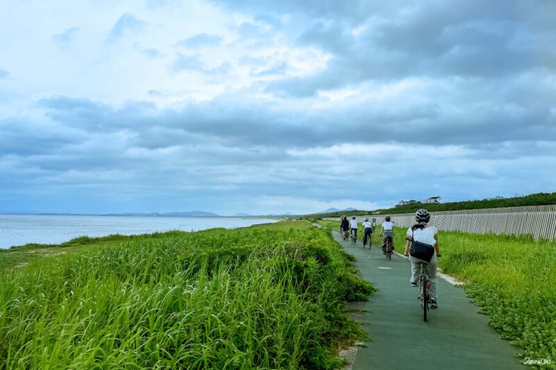 일본 자전거 여행의 매력 – 현지인의 속도로 즐기는 풍경