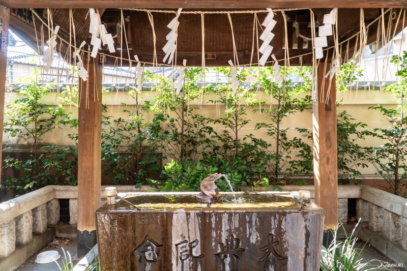 hidden cherry blossoms in Ueno: Ono-Terusaki Shrine