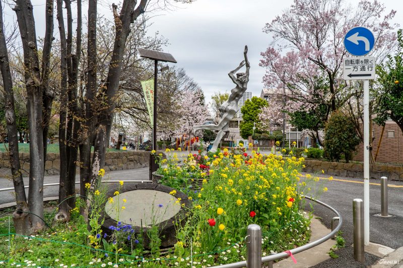 hidden cherry blossoms in Ueno: Nippori South Park