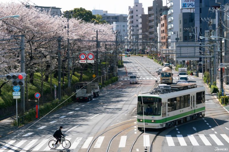 The best local cherry blossom spots in Tokyo: Asukayama Park