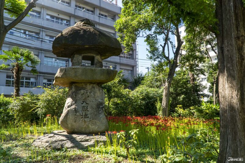 Spider Lilies at Yokoamicho Park, in Tokyo's Sumida Ward