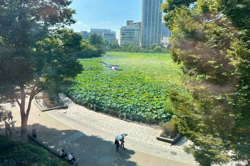 View From the Shitamachi Museum in Ueno Park, Tokyo