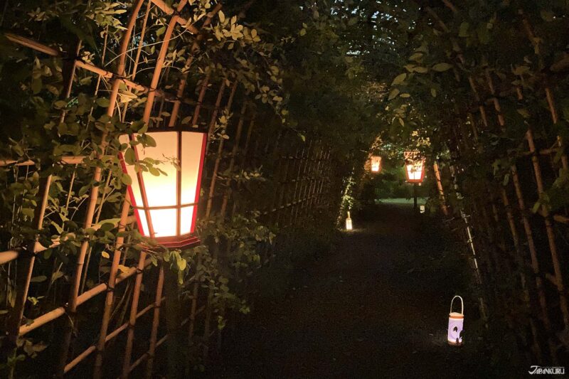 일본 가을 시즌