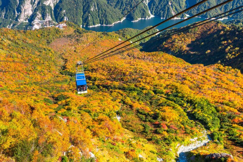 日本賞楓景點：立山黑部阿爾卑斯路線纜車