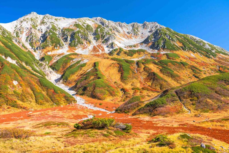 日本賞楓景點：立山黑部阿爾卑斯路線室堂