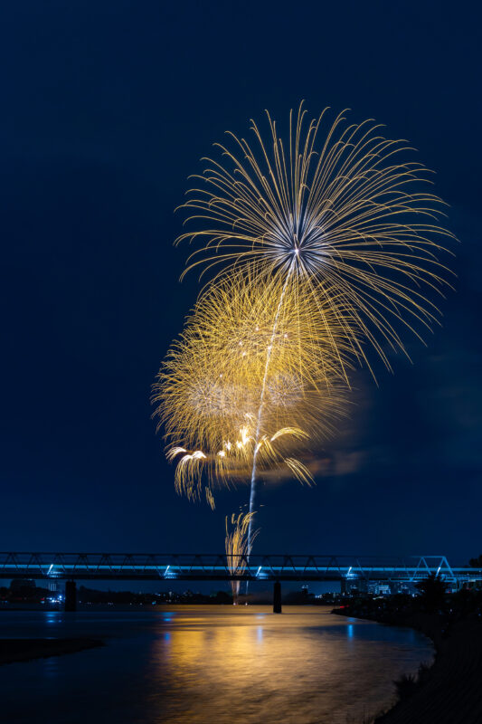 도쿄 쵸후 불꽃축제 금빛 불꽃놀이