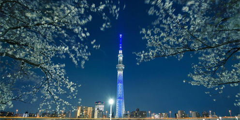 Jelajahi Keindahan Jepang dengan Nyaman