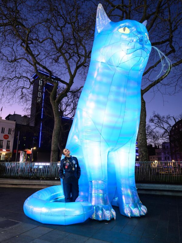 일본 최초 전시 슈뢰딩거의 고양이 설치 예술 작품