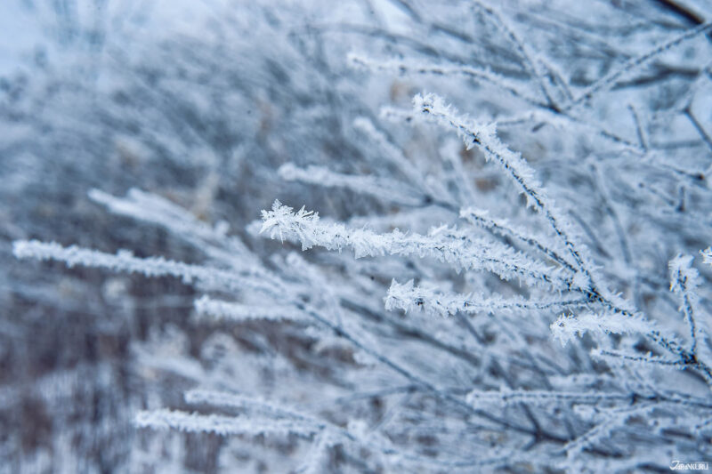 夏季以外的富士山 風險高