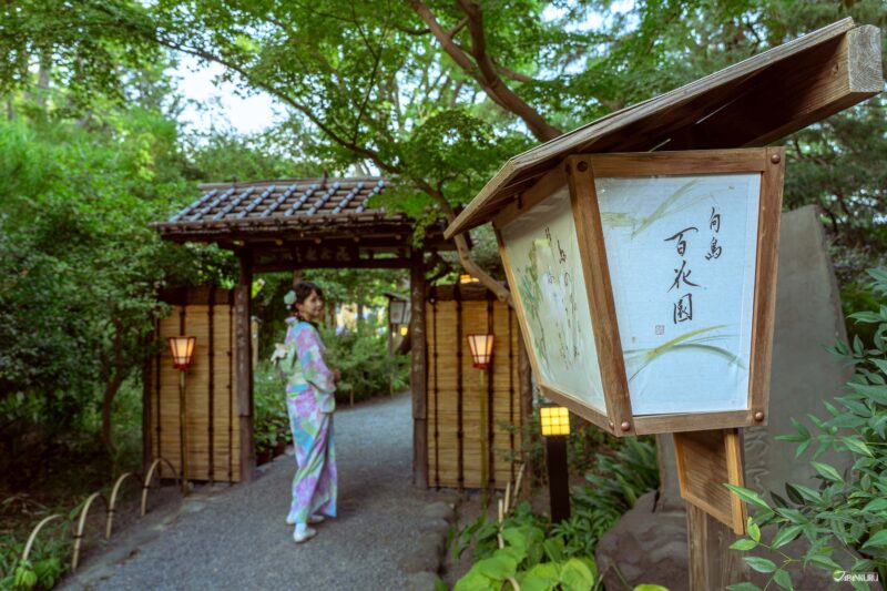 เดินเล่นในโ๖เกียว ที่สวนมุโคจิมะ เฮียกกะเอน