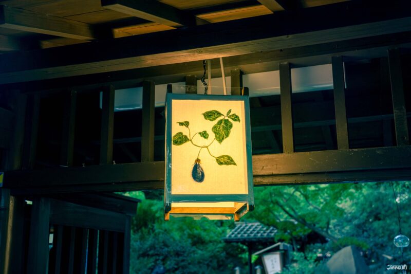 เดินเล่นในญี่ปุ่น สวนมุโคจิมะ เฮียกกะเอน