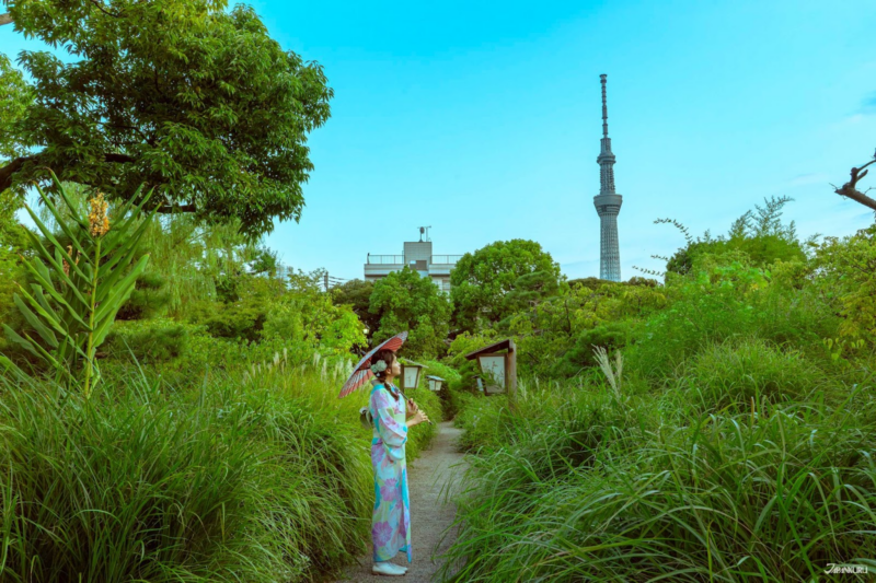 สวนญี่ปุ่นในโตเกียว