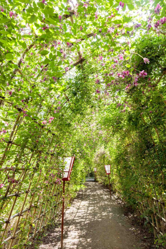 เดินเล่นในญี่ปุ่น สวนมุโคจิมะ เฮียกกะเอน