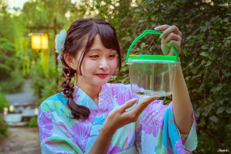 เดินเล่นในญี่ปุ่น สวนมุโคจิมะ เฮียกกะเอน หน้าร้อน