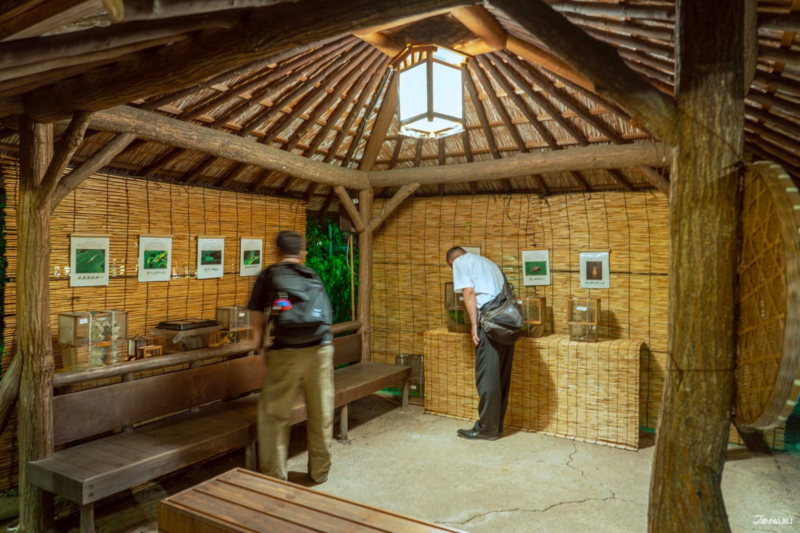 เดินเล่นในญี่ปุ่น สวนมุโคจิมะ เฮียกกะเอน ช่วงหน้าร้อน