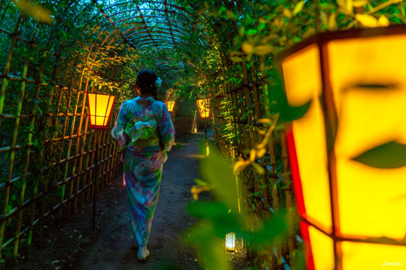 เดินเล่นในญี่ปุ่นตอนกลางคืน สวนมุโคจิมะ เฮียกกะเอน