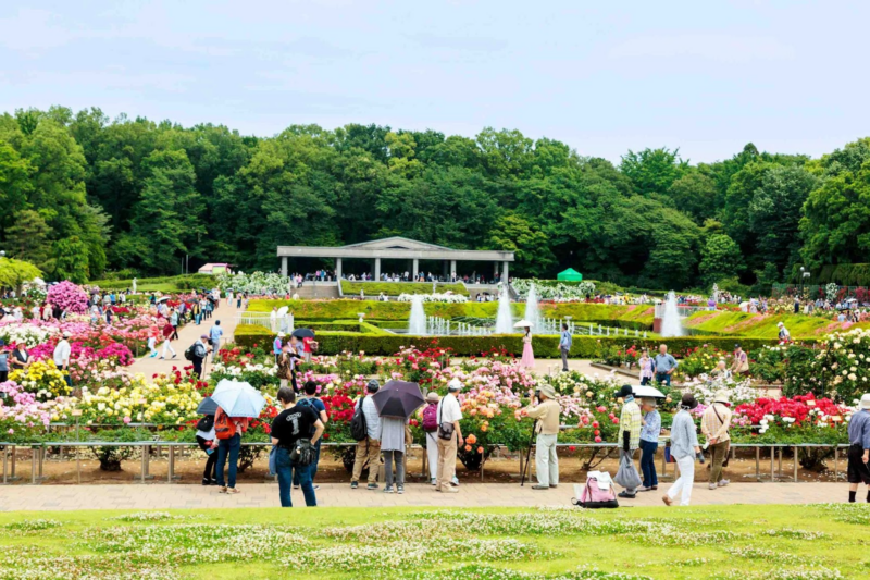 เดินเล่นในโตเกียว สวนโทโนะกายาโตะ  สวนพฤกษศาสตร์จินได