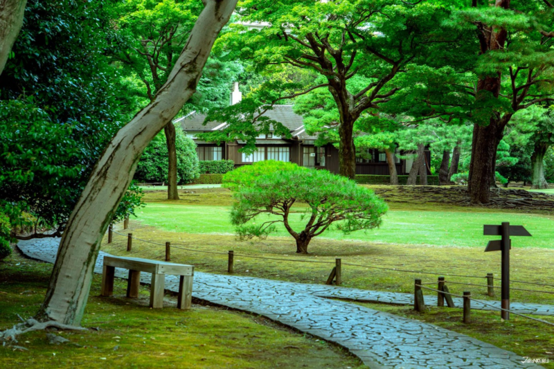 เดินเล่นในโตเกียว สวนโทโนะกายาโตะ  