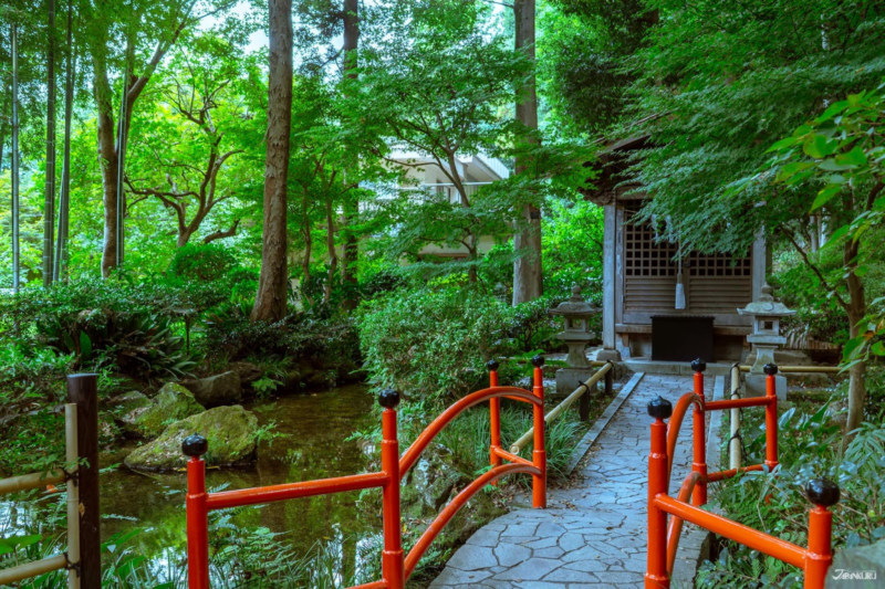 เดินเล่นในโตเกียว 