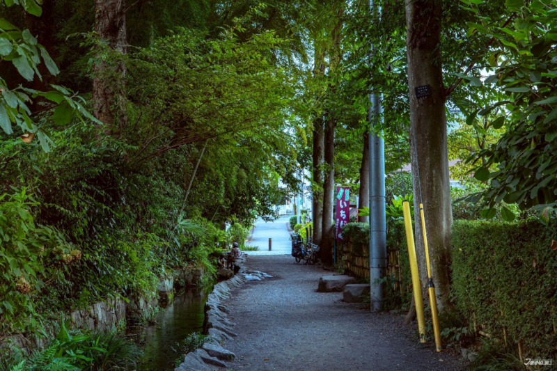 เดินเล่นในโตเกียว 