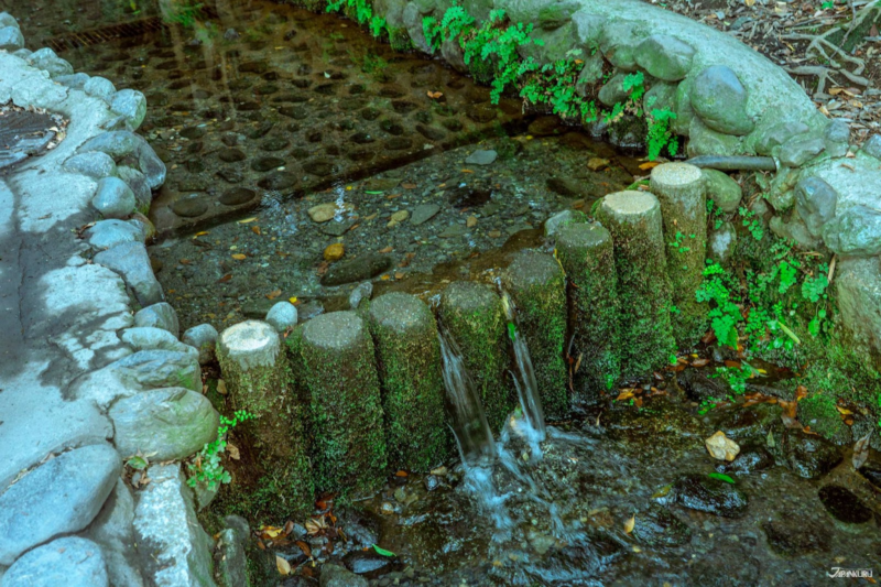 เดินเล่นในโตเกียว 