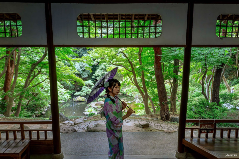 เดินเล่นในโตเกียว สวนญี่ปุ่น