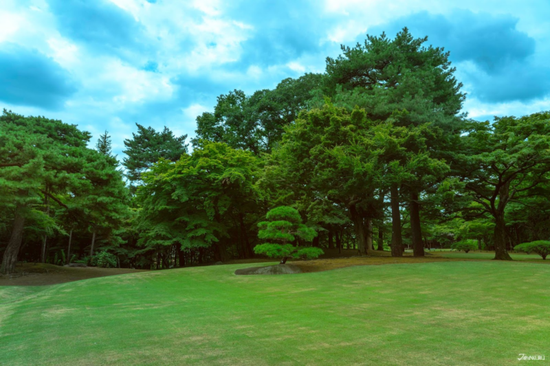 เดินเล่นในโตเกียว สวนโทโนะกายาโตะ  