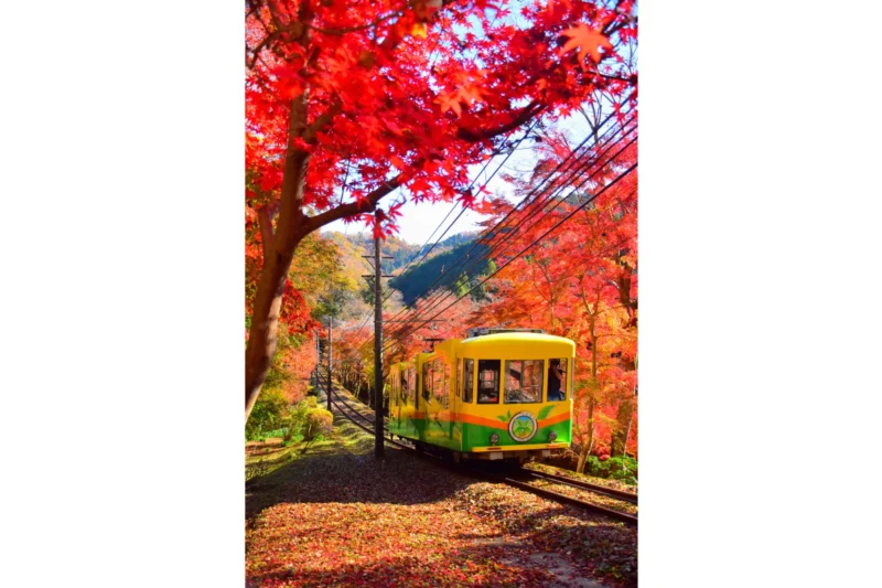 타카오산 모미지 마쓰리에서 열린 안전 기원제 행사 모습