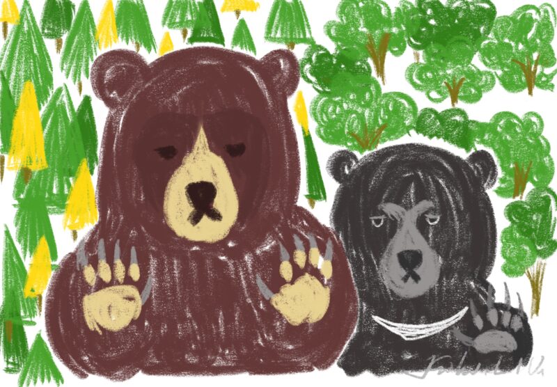 日本棕熊與黑熊