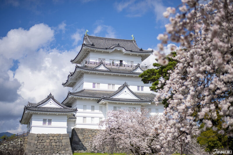 오다와라성 전경과 해안선을 따라 펼쳐진 거리 풍경