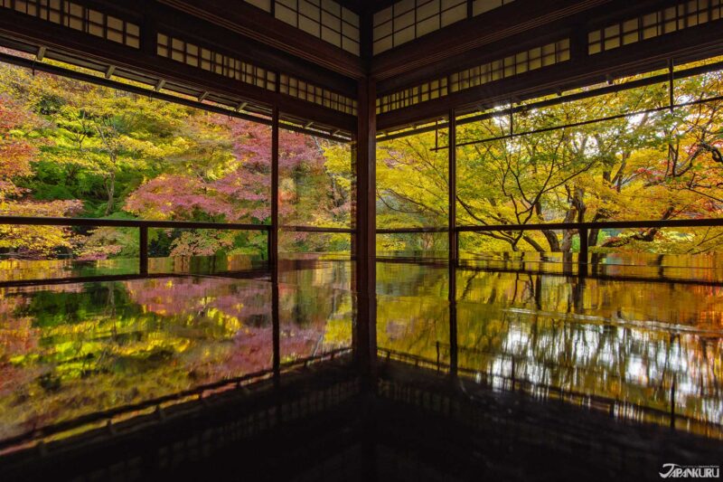 日本红叶观赏地点 琉璃光院