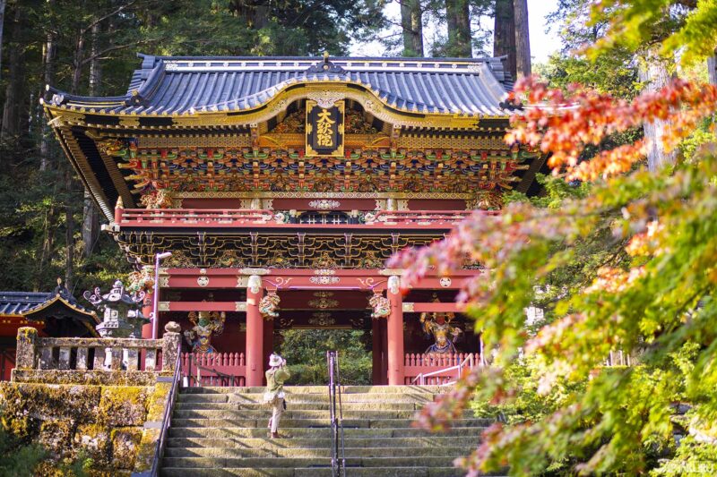 간토 지역 사찰과 자연 경관, 일본 근교 여행지