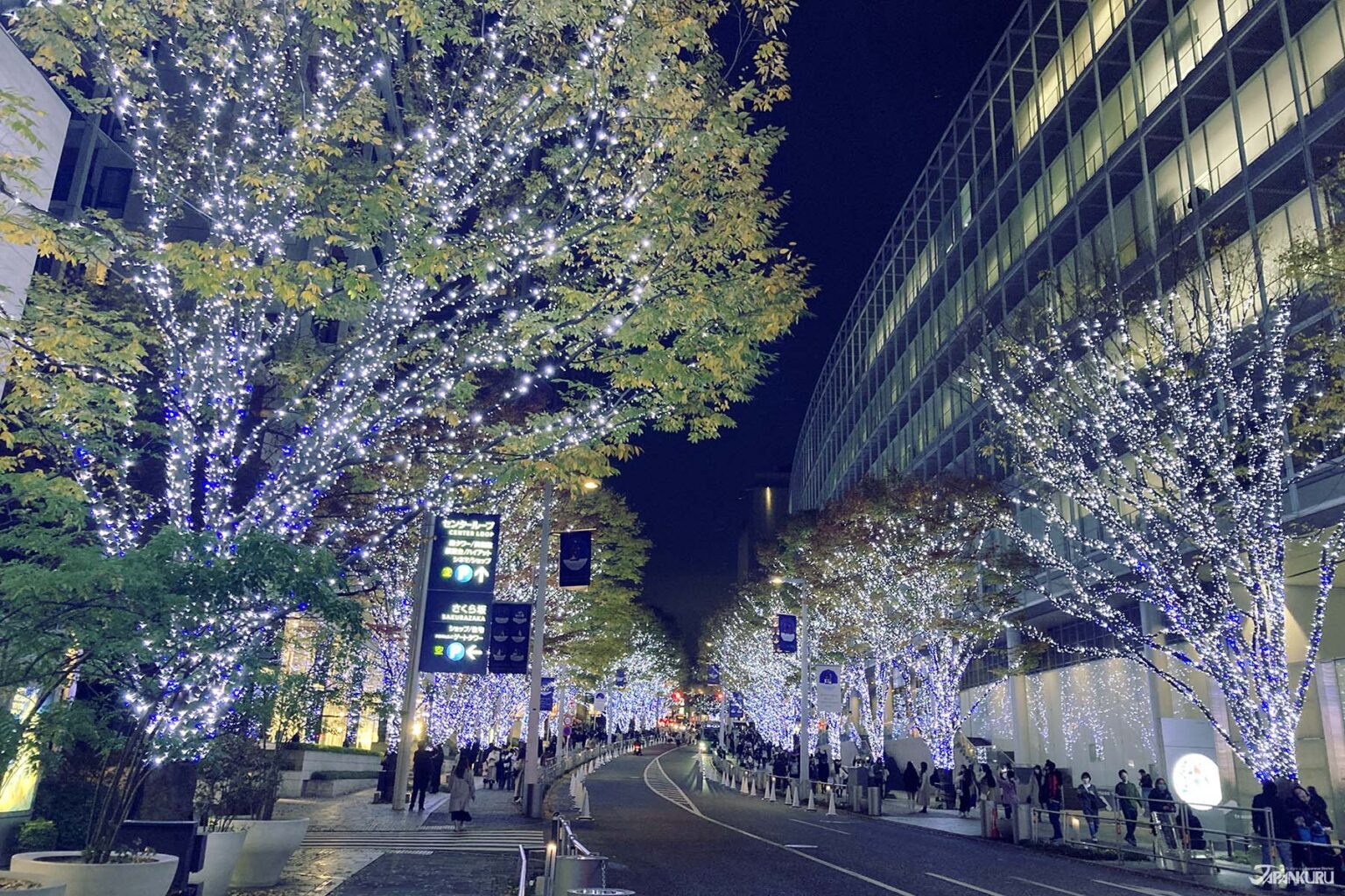 Red Light Roppongi Roppongi Hills Illumination & Christmas Lights 2025 (Tokyo)