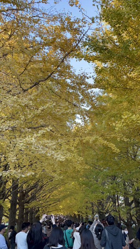 日本红叶观赏地点 国营昭和纪念公园