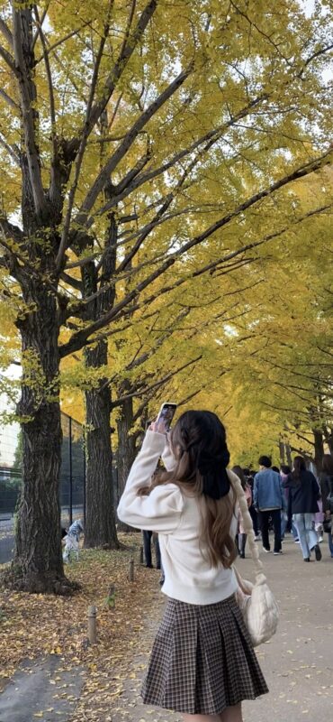 日本红叶观赏地点 国营昭和纪念公园