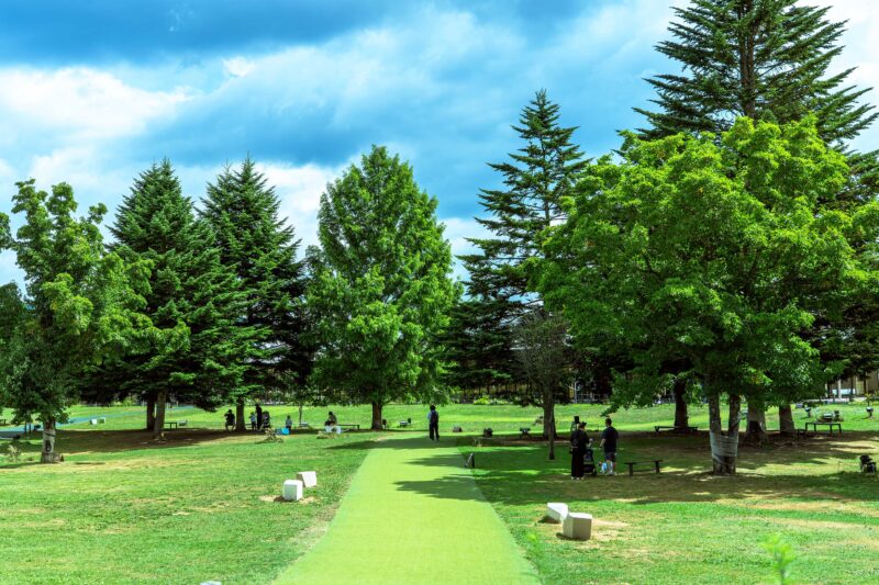 ช้อปปิ้งท่ามกลางธรรมชาติที่คารุอิซาว่า🍃