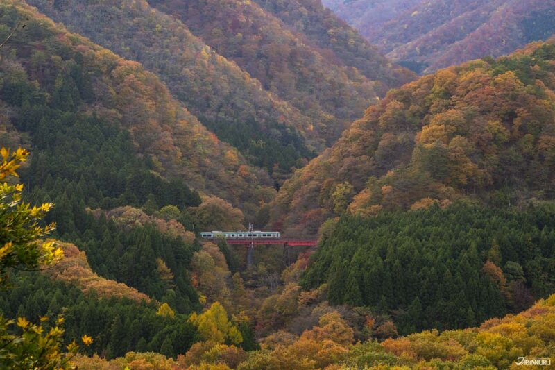 日本红叶观赏地点 黑部峡谷