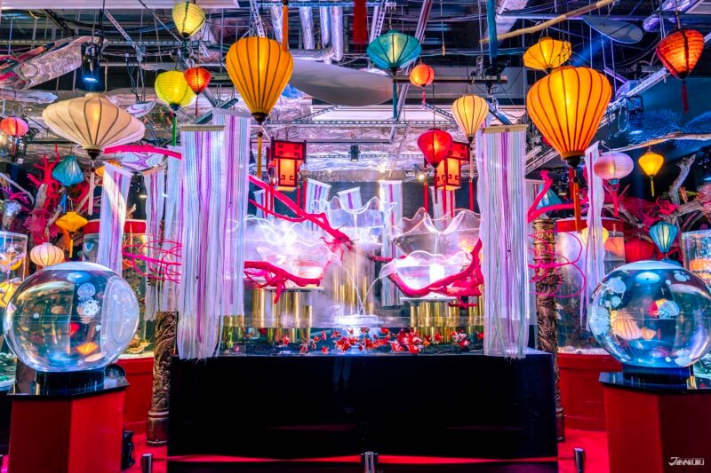 台場一日遊景點推薦 AQUA CiTY台場 金魚博物館