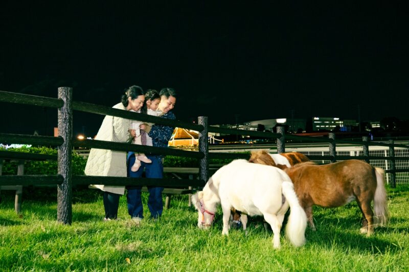 大井竞马场点灯 Tokyo Mega Illumi 马牧场