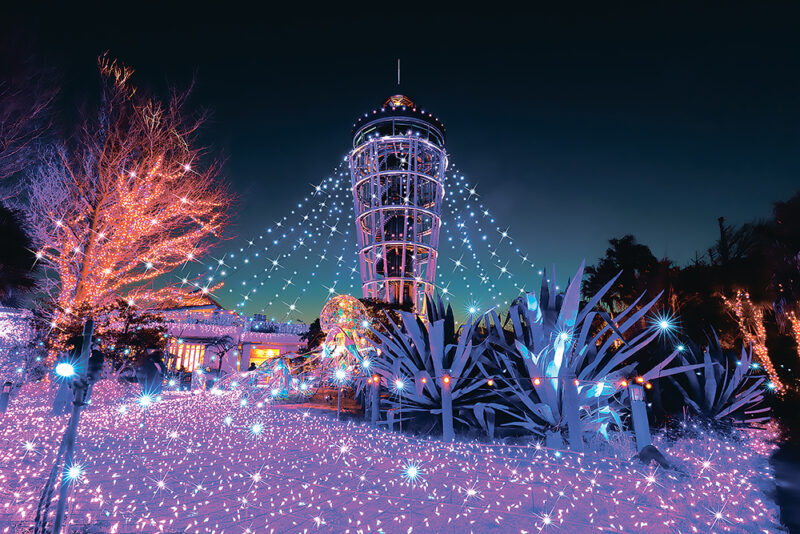 에노시마 쇼난의 보석 일루미네이션 메인 조명 풍경