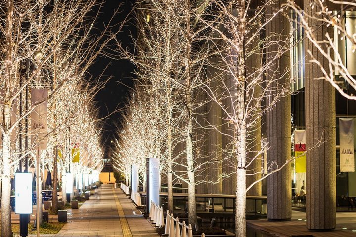 우메키타 샴페인 골드 일루미네이션
