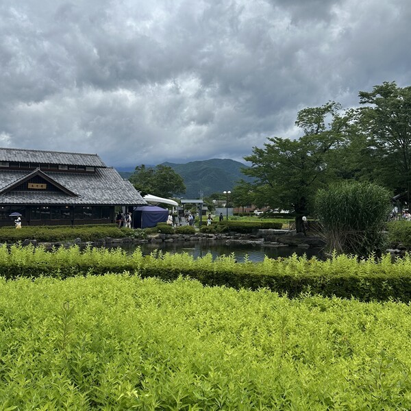 군마현 가와바마을을 흐르는 강과 풀숲 풍경, 일본 농촌 마을 자연 경관