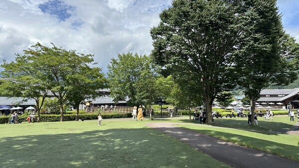 나무 그늘 아래 벤치에서 내려다본 군마현 가와바마을 전경