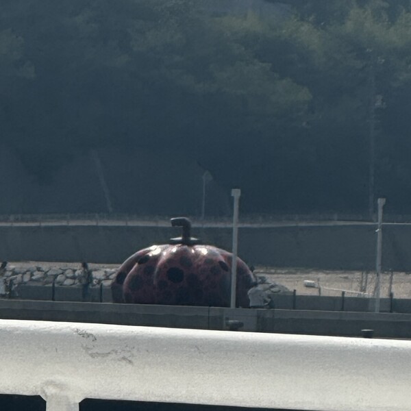 페리에서 보이는 나오시마의 상징 구사마 야요이 빨간 호박 조형물