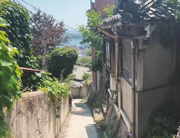 오노미치 마을의 돌계단 골목길과 전통 가옥, 고양이들이 어우러진 거리 풍경