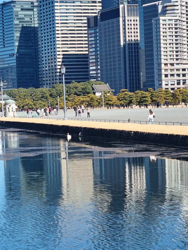 에도성을 둘러싼 다리와 산책로 풍경